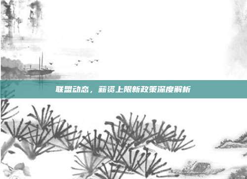 联盟动态，薪资上限新政策深度解析