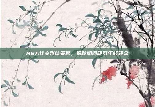 NBA社交媒体策略，揭秘如何吸引年轻观众