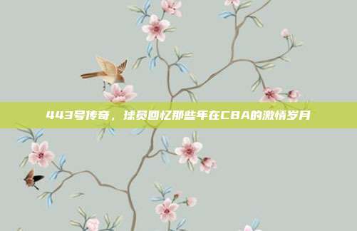 443号传奇，球员回忆那些年在CBA的激情岁月