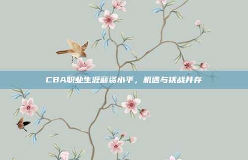 CBA职业生涯薪资水平，机遇与挑战并存