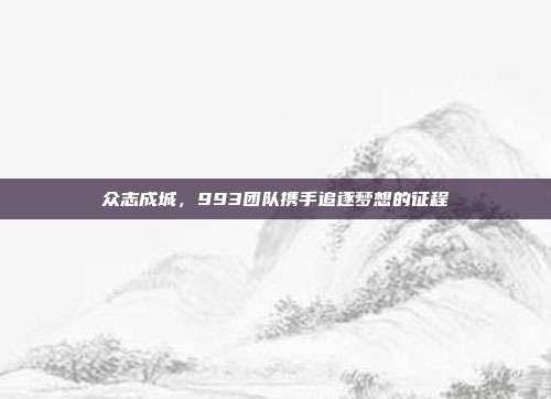 众志成城，993团队携手追逐梦想的征程