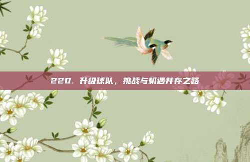 220. 升级球队，挑战与机遇并存之路