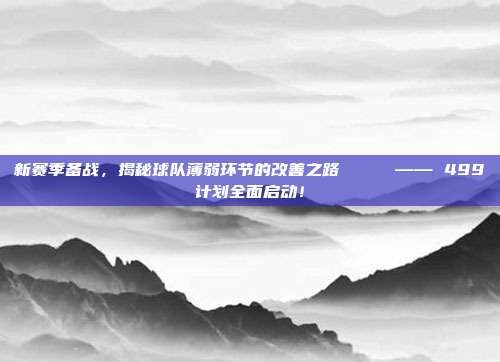 新赛季备战，揭秘球队薄弱环节的改善之路🛠️ —— 499计划全面启动！