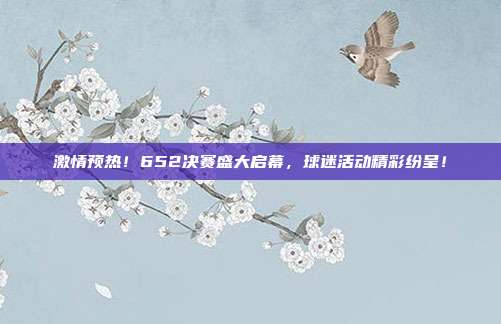 激情预热！652决赛盛大启幕，球迷活动精彩纷呈！