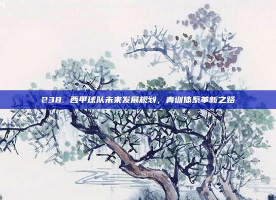 238. 西甲球队未来发展规划，青训体系革新之路