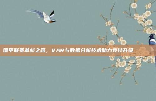 德甲联赛革新之路，VAR与数据分析技术助力竞技升级🔍📊