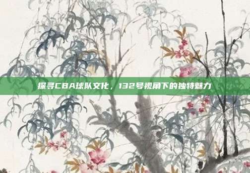 探寻CBA球队文化，132号视角下的独特魅力